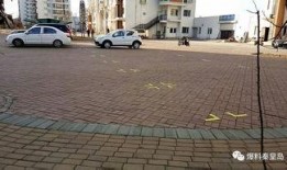 家园小区爆料视频最新,揭秘神秘事件真相！